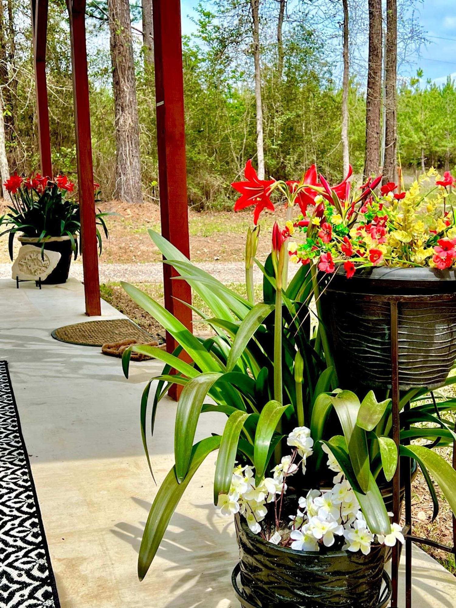 A Tranquil Retreat Loaded With Ambiance! Sleeps 10 Villa Platt Екстериор снимка